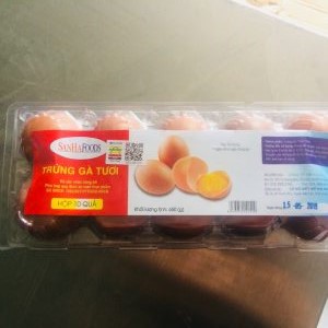 Khay trứng gà - Bao Bì Nhựa Phú Khang - Công Ty TNHH Sản Xuất TM DV Nhựa Phú Khang